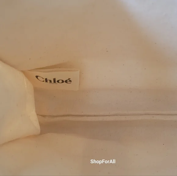 Chloe pouch crossbody bag